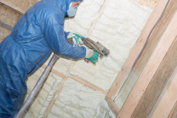 Best Attic Insulation Installation  in Kingston, IL