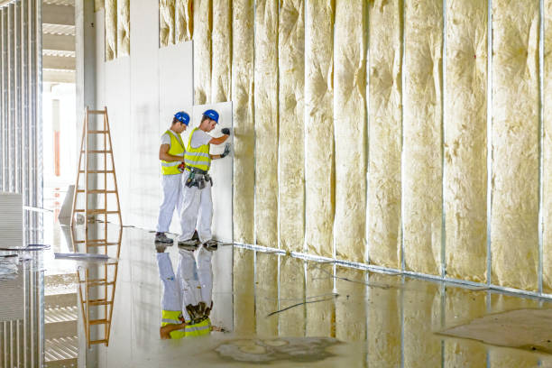 Best Attic Insulation Installation  in Kingston, IL